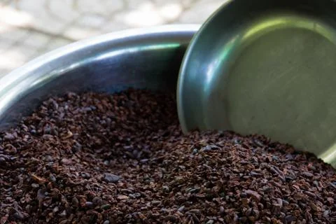 Close up of dry cacao beans Foto stock
