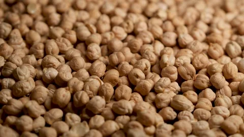 Close Up of Dry Chickpeas Stock Footage 329967826