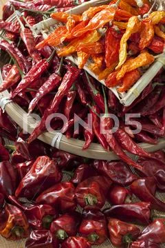 Close-up of dry Chili Pepper Stock Photos