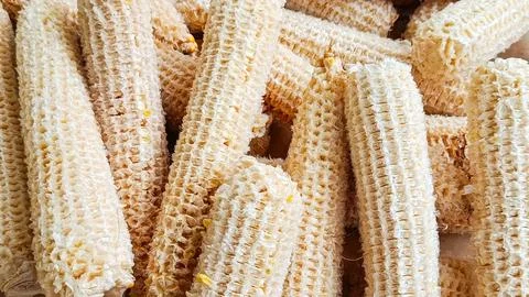 Close-up of the Dry Corn Cob Texture Background Stock Photos