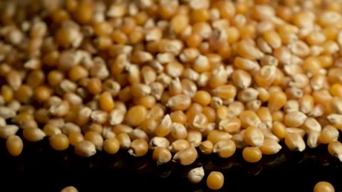 Close Up of Dry Corn Kernels 库存影片 329968071