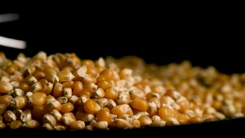 Close Up of Dry Corn Kernels Stock Footage 329968096