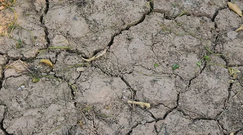Close up dry cracked earth. 库存影片 62262010