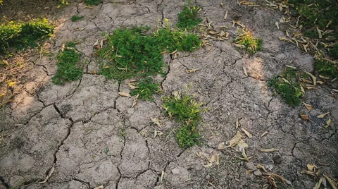 Close up dry cracked earth. 库存影片 62262022