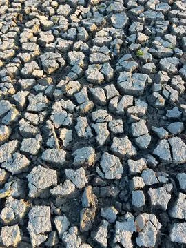 Close Up of Dry Cracked Earth Texture Stock Photos