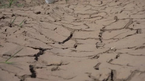 Close up of dry cracked soil. Global warning. Climate change. Stock Footage 242743006