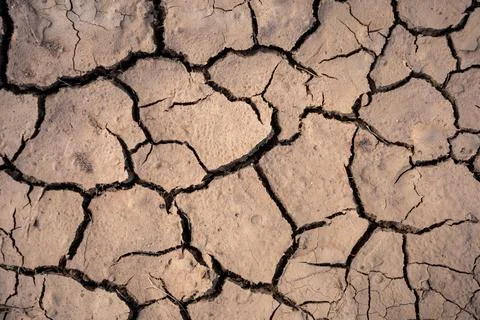 Close up on dry cracked soil. Stock Photos
