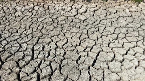 Close-up of dry, cracked soil surface Video stock 283554069