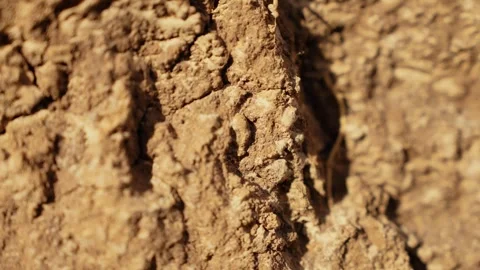Close up of dry cracked soil texture Stock Footage 341294593