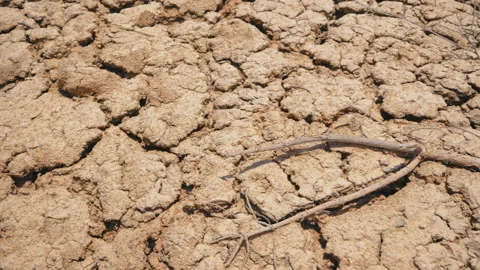Close-up of dry dead and cracked earth during a drought 스톡 동영상 100705202