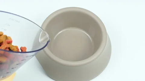 Close-up dry dog or cat kibble being poured from cup into grey plastic bowl. Stock Footage 164532896