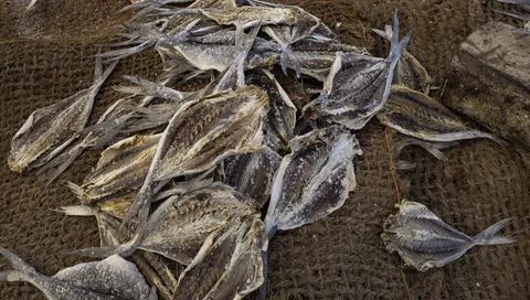 Close up of dry fish Photos