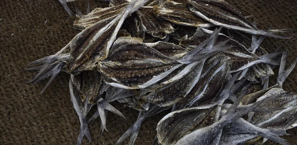 Close up of dry fish Photos
