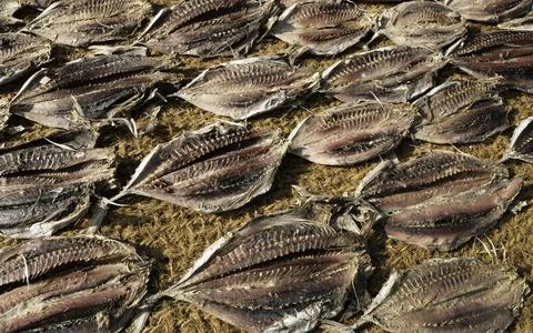 Close up of dry fish Stock Photos