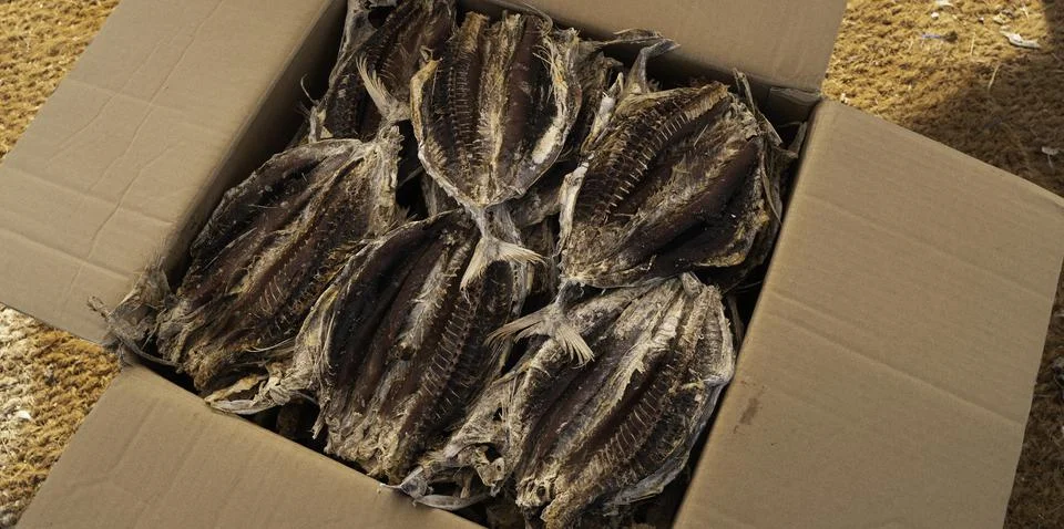 Close up of dry fish Stock Photos