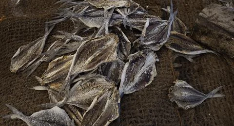 Close up of dry fish Stock Photos