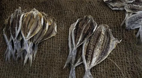 Close up of dry fish Foto stock