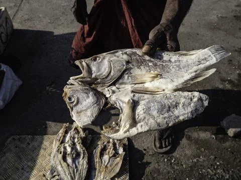 Close up of dry fish Stock Photos