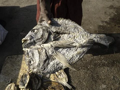 Close up of dry fish Stock Photos