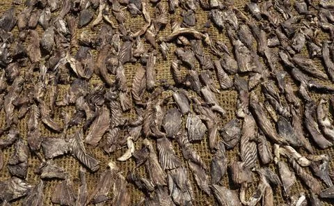 Close up of dry fish Stockfoto's