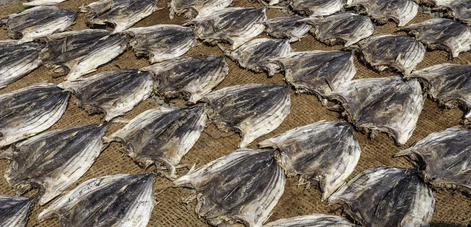 Close up of dry fish Stock Photos