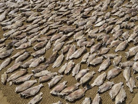 Close up of dry fish Stock Photos