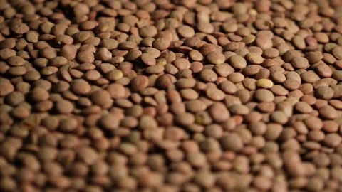 Close Up of Dry Green Lentils Stock Footage 329967738