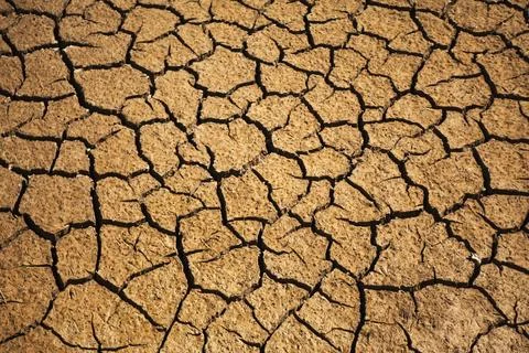 Close up of dry land Stock Photos