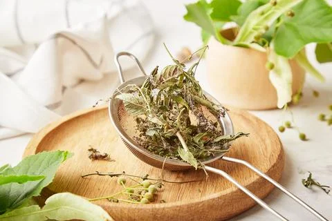 Close up dry mint - ingredients for preparing natural organic linden and mint Stock Photos