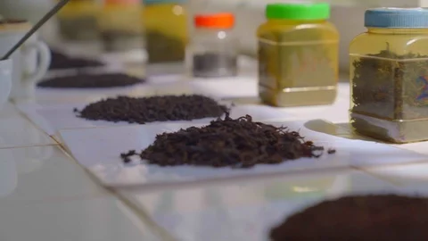 Close-up of  dry portion of tea leaves in differents stages of  tea processing Stock Footage 107212178