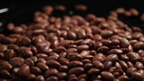 Close Up of Dry Red Kidney Beans Stock Footage 329967917