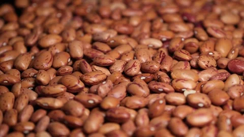 Close Up of Dry Red Kidney Beans Stock Footage 329967949