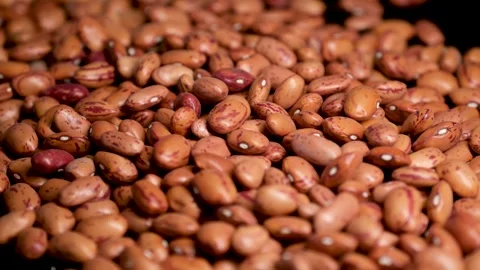 Close Up of Dry Red Kidney Beans 库存影片 329968011