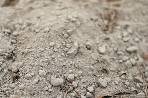 Close-up of Dry Soil Texture Stock Photos