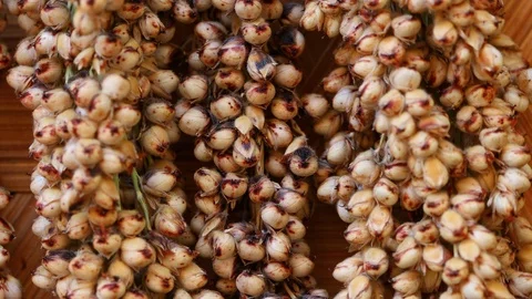 Close up dry sorghum rotation Stock Footage 126835075