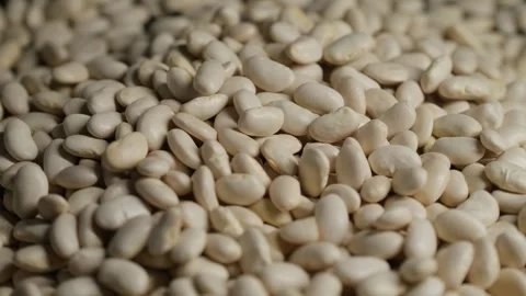 Close Up of Dry White Beans Video stock 329967418