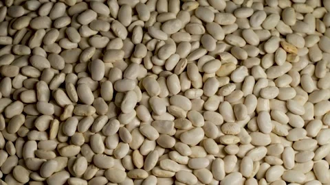 Close Up of Dry White Beans Stock Footage 329967637