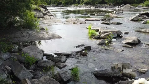 Close-up of ducks in a gentle stream Stock Footage 138649857