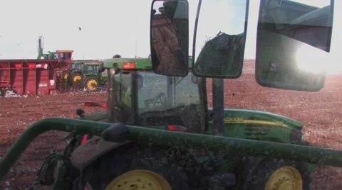 Close-dump cotton into trailer Stock Footage 27147696