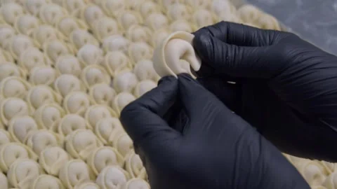 Close-up of dumpling making Stock Footage 301389168