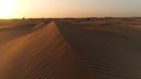 Close-up dune aerial view. Sunset desert in Emirates. Endless desert dunes. Expo 스톡 동영상 128204394