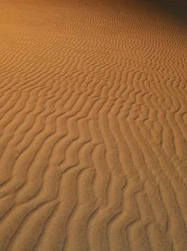CLOSE UP OF DUNE RIPPLES Stock Photos