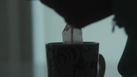 Close-Up Dunking Tea Bag in Mug Vidéo 134082963