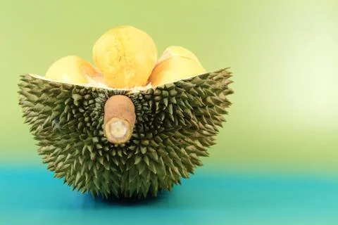 Close up of durian fruit Stock Photos