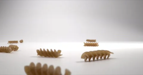 Close up of durum wheat pasta. Concept of pasta factory. Healthy whole grain Stock Footage 146795339