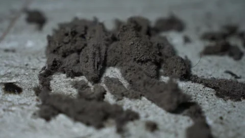 Close-up of dust and dirt clumps scattered on a light floor, Dust and dirt .. Stock Footage 338319400