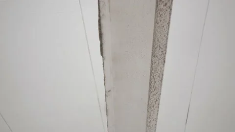 Close up the dust at ceiling fan Stock Footage 148604448