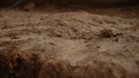 Close up of dusty brown soil sliding Stock Footage 341294574