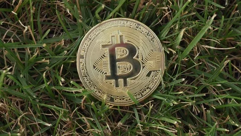 Close-up dynamic view of a golden bitcoin on grass Stock Footage 116554104