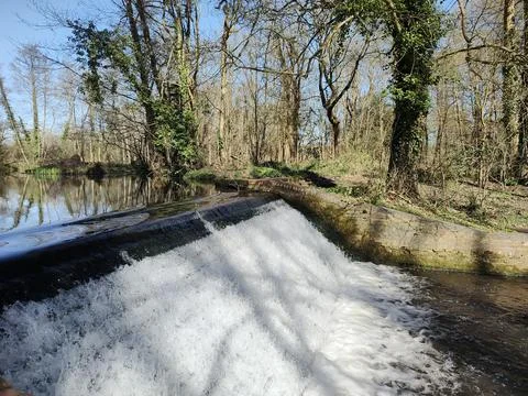 Close, dynamic view of a weir, where water is actively flowing over the edge Stockfoto's